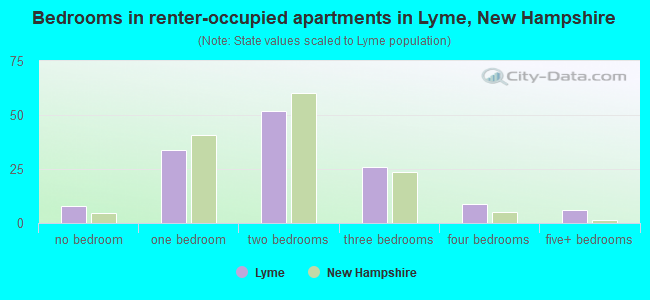 Bedrooms in renter-occupied apartments in Lyme, New Hampshire