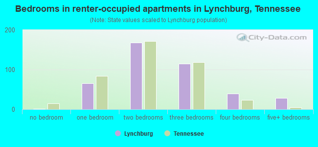 Bedrooms in renter-occupied apartments in Lynchburg, Tennessee
