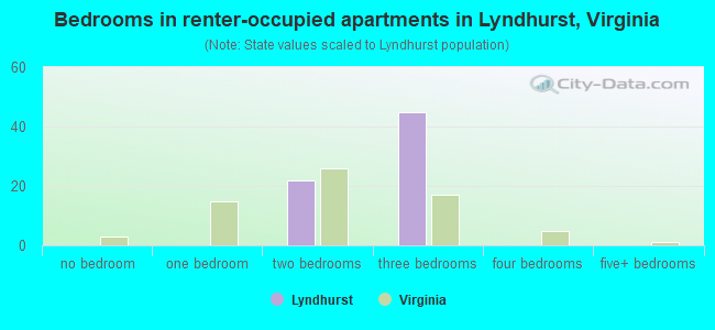 Bedrooms in renter-occupied apartments in Lyndhurst, Virginia