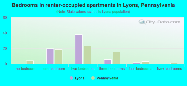Bedrooms in renter-occupied apartments in Lyons, Pennsylvania