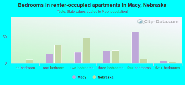 Bedrooms in renter-occupied apartments in Macy, Nebraska