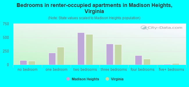 Bedrooms in renter-occupied apartments in Madison Heights, Virginia