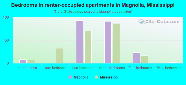 Bedrooms in renter-occupied apartments in Magnolia, Mississippi