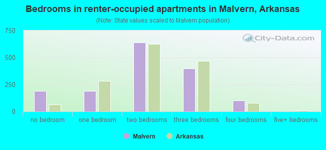 Bedrooms in renter-occupied apartments in Malvern, Arkansas