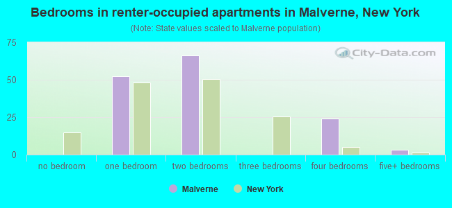 Bedrooms in renter-occupied apartments in Malverne, New York