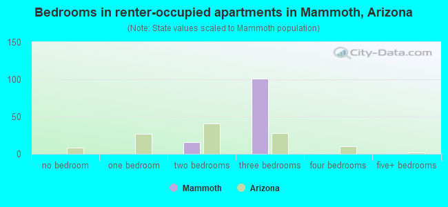 Bedrooms in renter-occupied apartments in Mammoth, Arizona