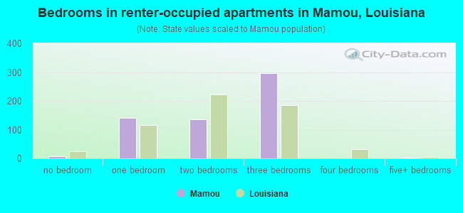 Bedrooms in renter-occupied apartments in Mamou, Louisiana