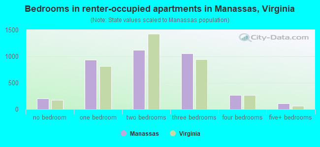 Bedrooms in renter-occupied apartments in Manassas, Virginia