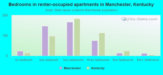 Bedrooms in renter-occupied apartments in Manchester, Kentucky