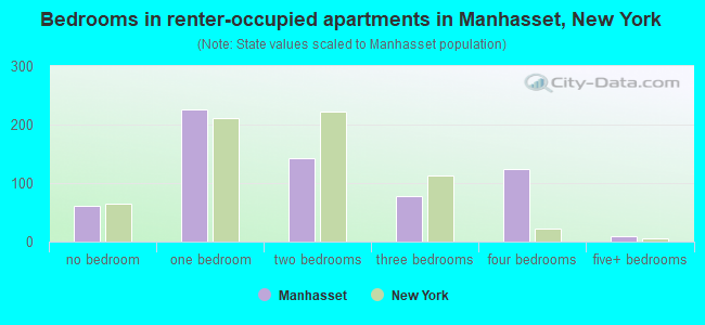 Bedrooms in renter-occupied apartments in Manhasset, New York