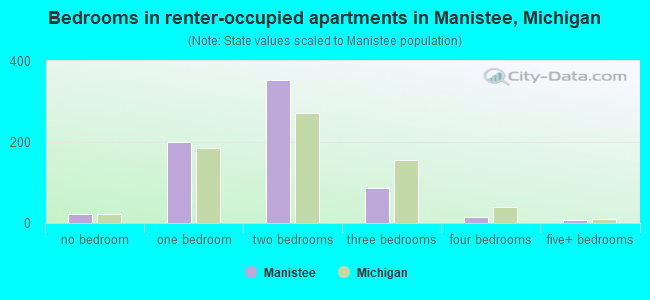 Bedrooms in renter-occupied apartments in Manistee, Michigan