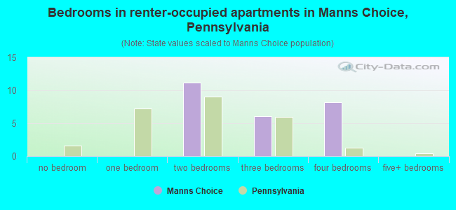 Bedrooms in renter-occupied apartments in Manns Choice, Pennsylvania