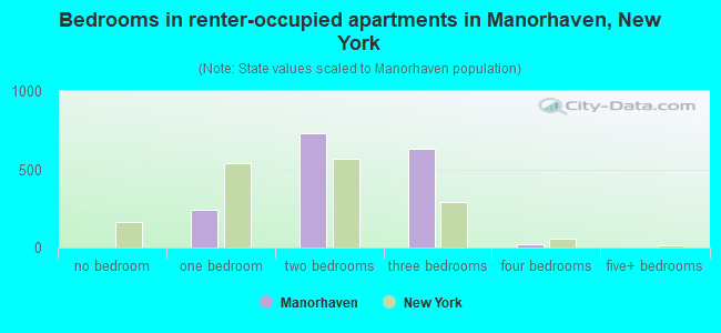 Bedrooms in renter-occupied apartments in Manorhaven, New York