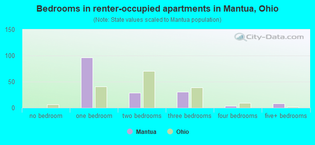 Bedrooms in renter-occupied apartments in Mantua, Ohio