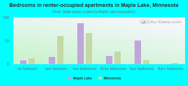 Bedrooms in renter-occupied apartments in Maple Lake, Minnesota