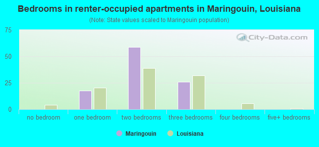 Bedrooms in renter-occupied apartments in Maringouin, Louisiana