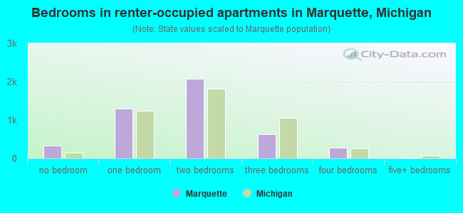 Bedrooms in renter-occupied apartments in Marquette, Michigan