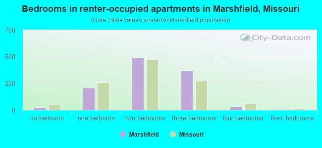 Bedrooms in renter-occupied apartments in Marshfield, Missouri