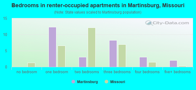 Bedrooms in renter-occupied apartments in Martinsburg, Missouri