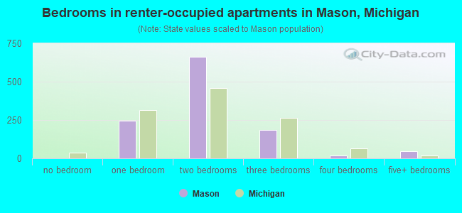 Bedrooms in renter-occupied apartments in Mason, Michigan