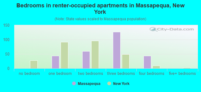 Bedrooms in renter-occupied apartments in Massapequa, New York