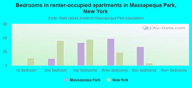 Bedrooms in renter-occupied apartments in Massapequa Park, New York