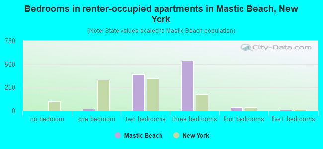 Bedrooms in renter-occupied apartments in Mastic Beach, New York