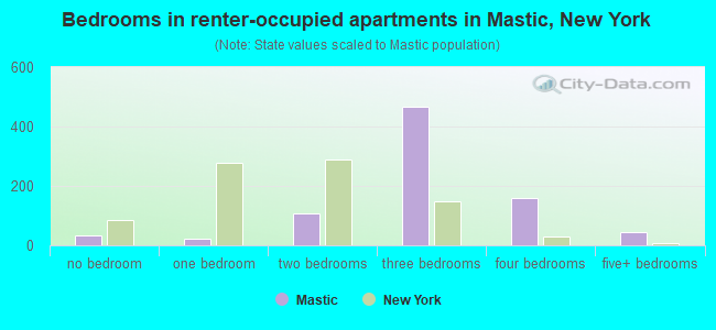 Bedrooms in renter-occupied apartments in Mastic, New York