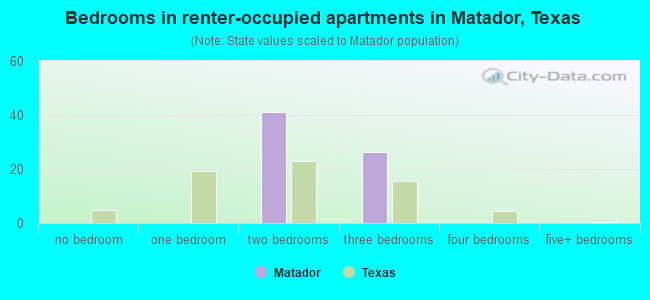 Bedrooms in renter-occupied apartments in Matador, Texas