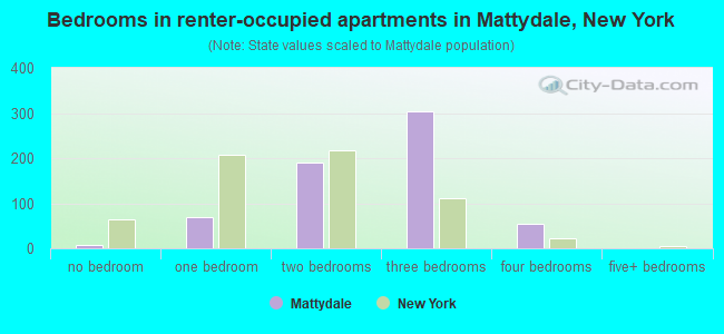 Bedrooms in renter-occupied apartments in Mattydale, New York