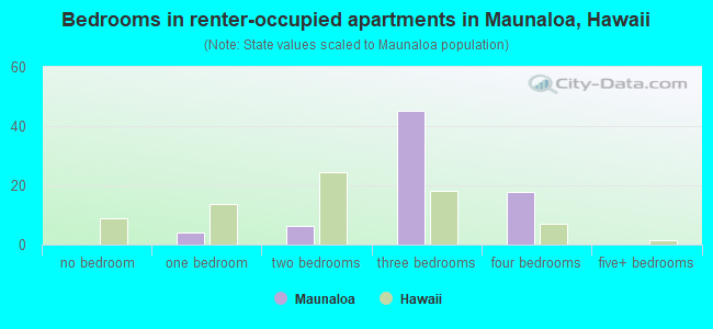 Bedrooms in renter-occupied apartments in Maunaloa, Hawaii