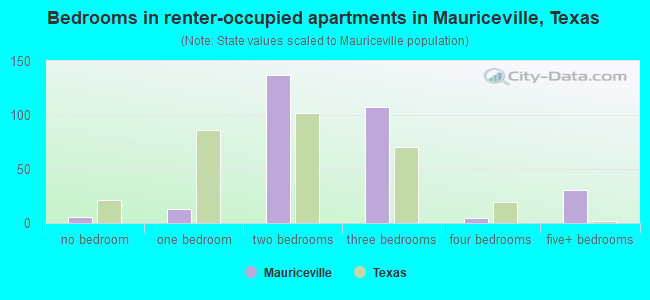 Bedrooms in renter-occupied apartments in Mauriceville, Texas