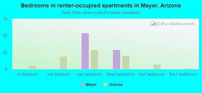 Bedrooms in renter-occupied apartments in Mayer, Arizona