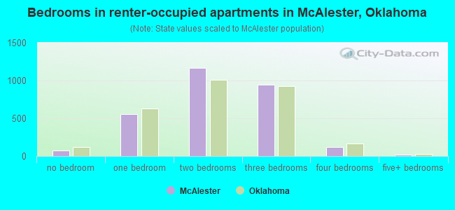 Bedrooms in renter-occupied apartments in McAlester, Oklahoma