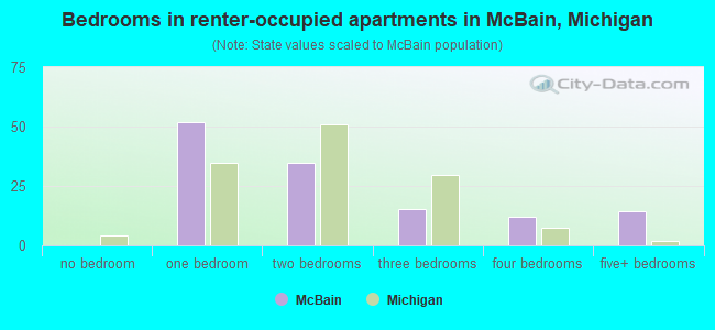 Bedrooms in renter-occupied apartments in McBain, Michigan
