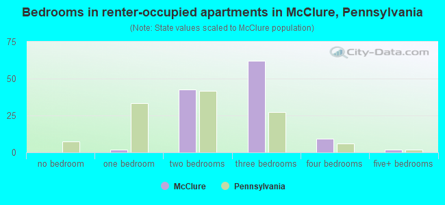 Bedrooms in renter-occupied apartments in McClure, Pennsylvania