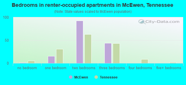 Bedrooms in renter-occupied apartments in McEwen, Tennessee
