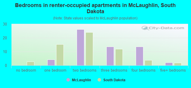 Bedrooms in renter-occupied apartments in McLaughlin, South Dakota
