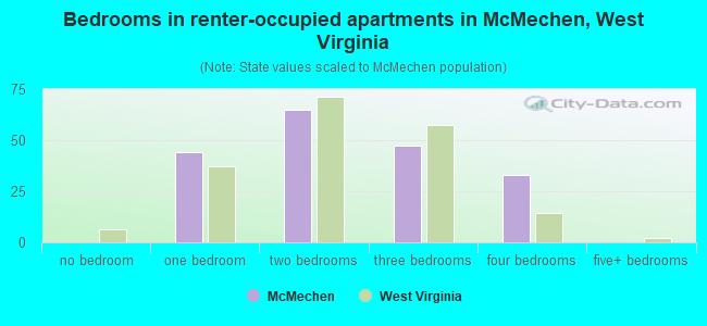Bedrooms in renter-occupied apartments in McMechen, West Virginia