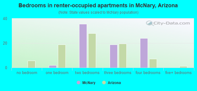 Bedrooms in renter-occupied apartments in McNary, Arizona
