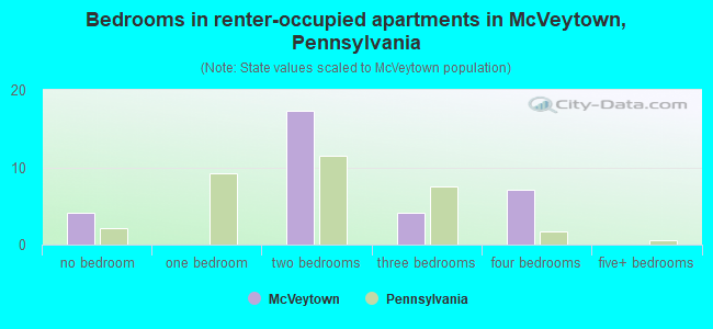 Bedrooms in renter-occupied apartments in McVeytown, Pennsylvania
