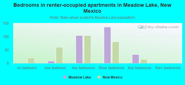 Bedrooms in renter-occupied apartments in Meadow Lake, New Mexico
