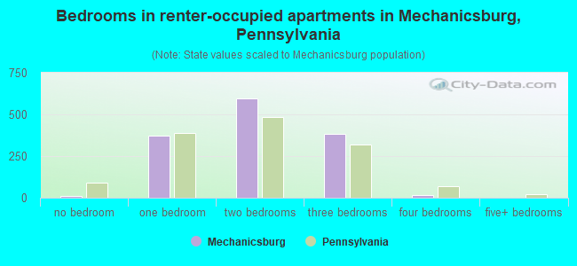 Bedrooms in renter-occupied apartments in Mechanicsburg, Pennsylvania