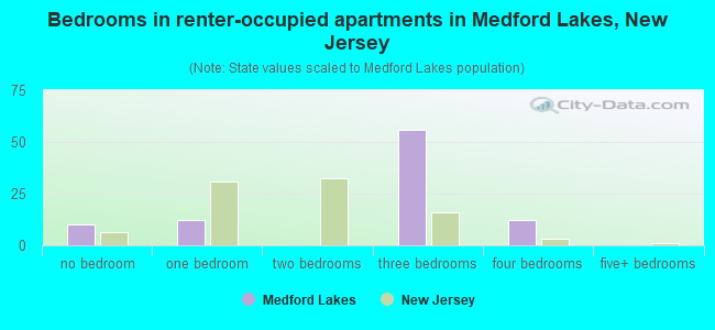 Bedrooms in renter-occupied apartments in Medford Lakes, New Jersey