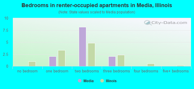 Bedrooms in renter-occupied apartments in Media, Illinois
