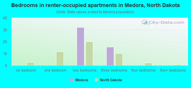 Bedrooms in renter-occupied apartments in Medora, North Dakota