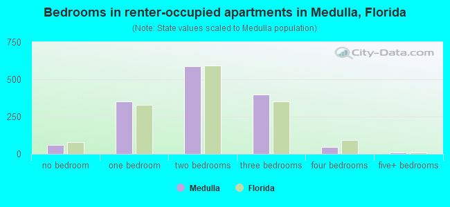 Bedrooms in renter-occupied apartments in Medulla, Florida