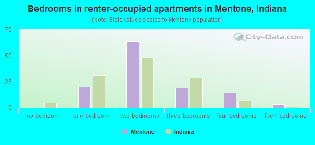 Bedrooms in renter-occupied apartments in Mentone, Indiana