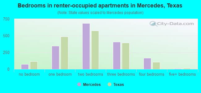 Bedrooms in renter-occupied apartments in Mercedes, Texas