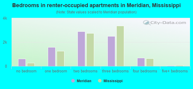 Bedrooms in renter-occupied apartments in Meridian, Mississippi